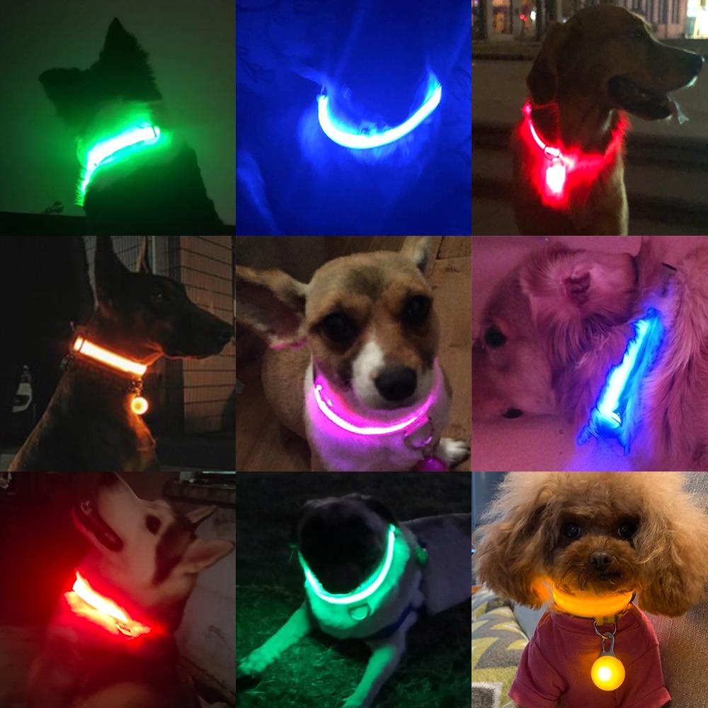 LedCollar™ - Collier à LED rechargeable pour chien - Timeticdog