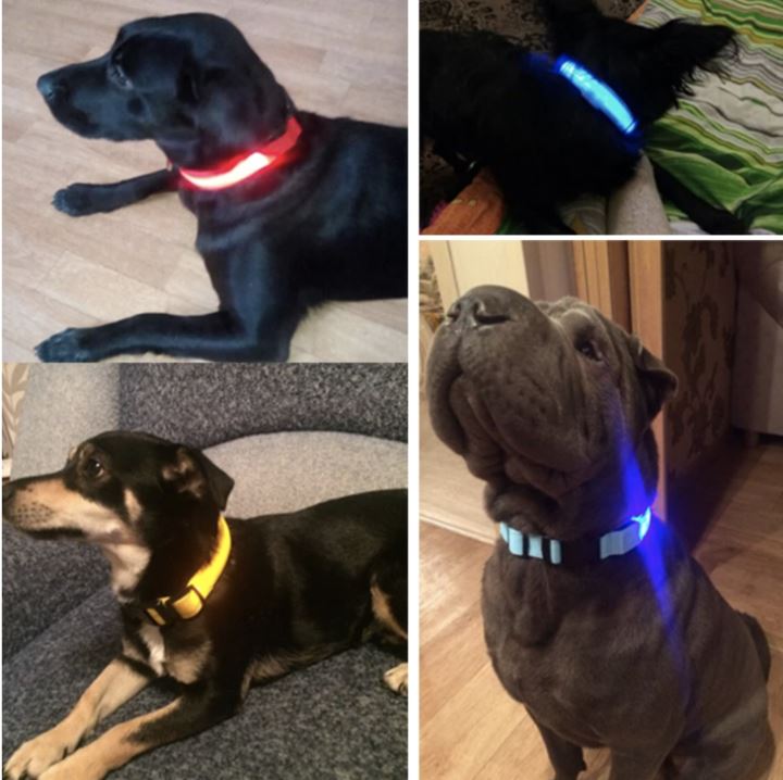 LedCollar™ - Collier à LED rechargeable pour chien - Timeticdog