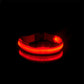 LedCollar™ - Collier à LED rechargeable pour chien - Timeticdog