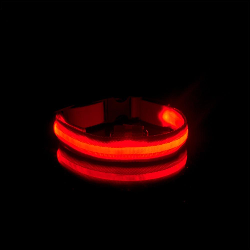 LedCollar™ - Collier à LED rechargeable pour chien - Timeticdog